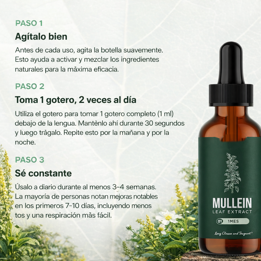PulmDetox: Gordoglobo con clorofila para tus pulmones