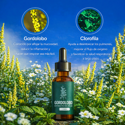 PulmDetox: Gordoglobo con clorofila para tus pulmones